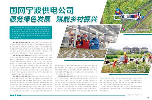 乡镇供电所维修报告解读:保障电力供应,助力乡村振兴