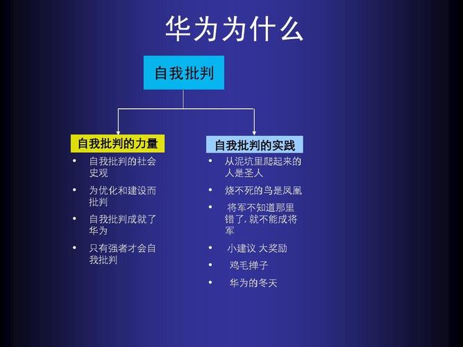 介绍华为维修报告:一介绍竟,维护您的设备无忧