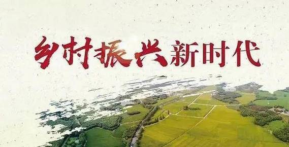 传承与创新:维修村集体房屋,助力乡村振兴