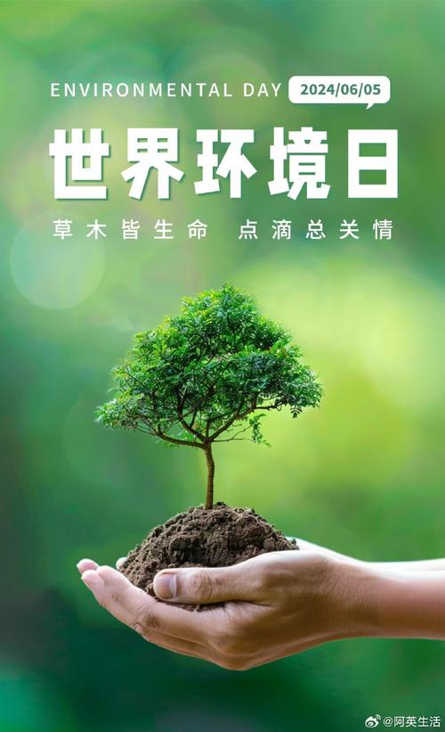 住宅维修资金审计报告：守护家园的“守护者”