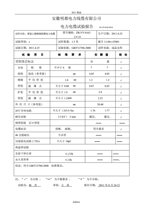 保障电力安全,助力社会发展_电线维修报告介绍