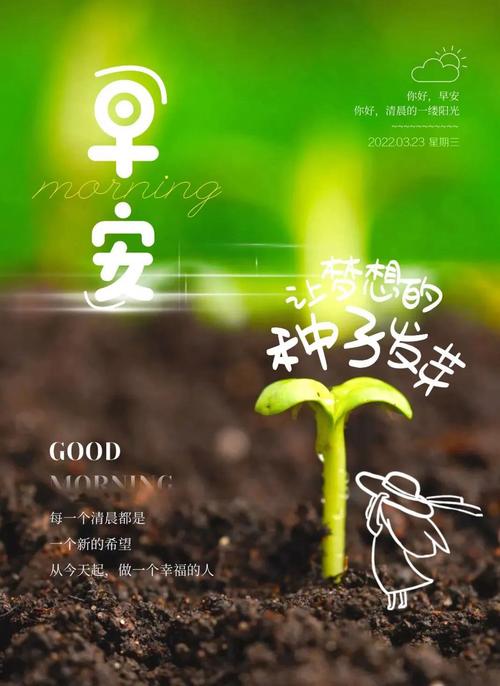 储罐维修整改报告解读:筑牢安全防线,守护绿色未来