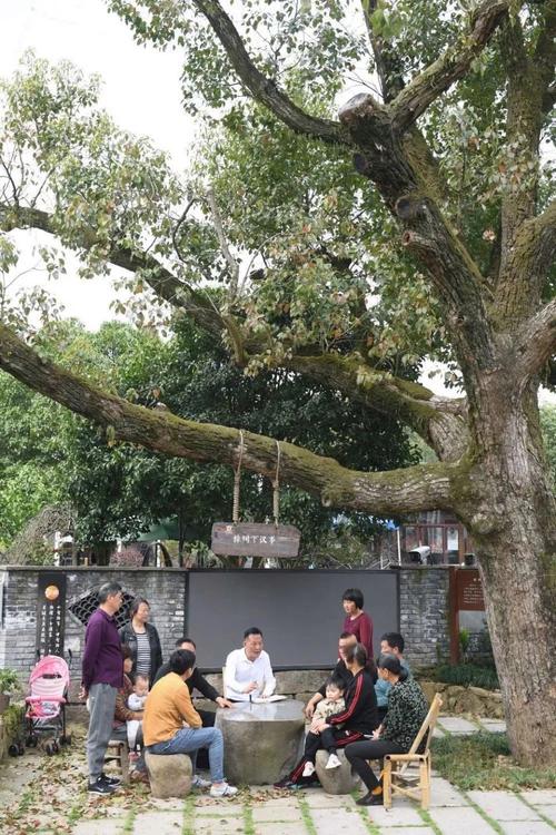 农村水井维修报告启示录:守护生命之源,共建美丽乡村