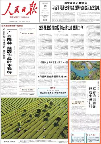 农田灌溉溪流维修报告解读：守护生命之源，助力农业发展