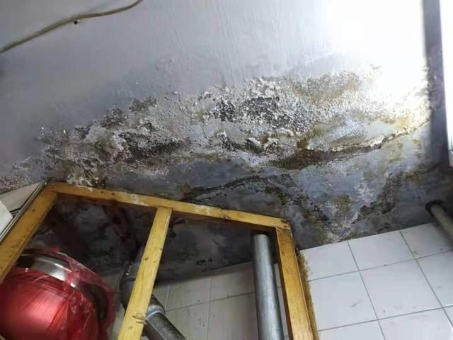 出租房漏水维修:剖析问题根源,保障居住安全
