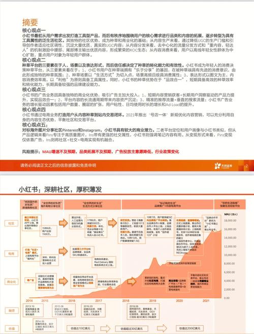 剖析电话损坏维修报告,探寻科技产品的脆弱与坚韧