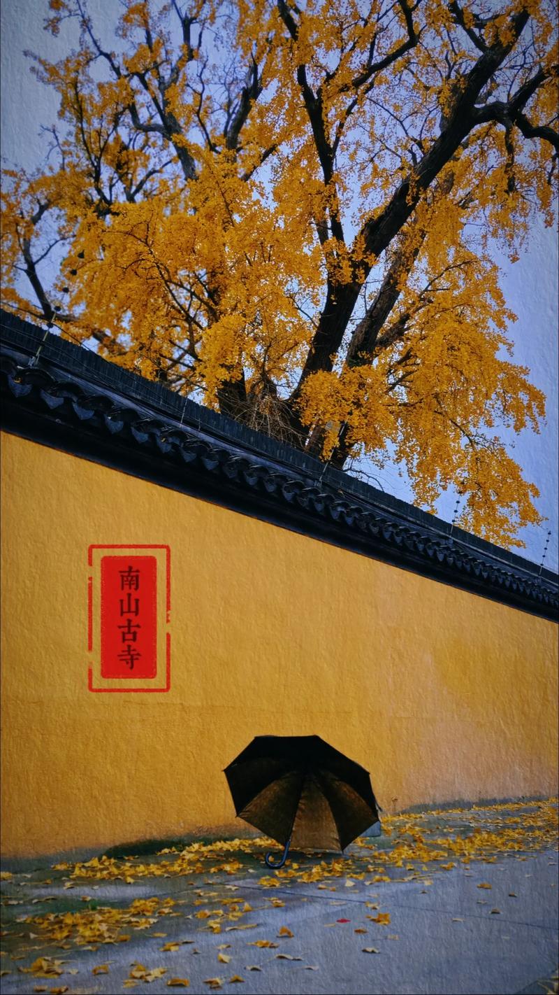 古寺焕新颜，文化传承永续_XX寺庙维修验收报告解读