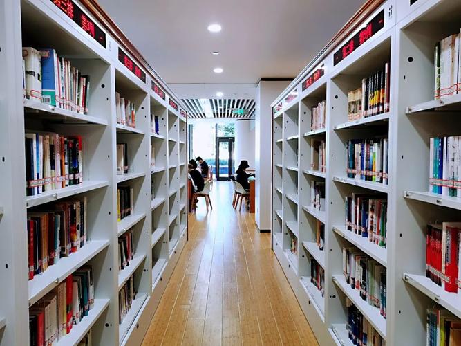 图书馆桌椅维修报告解读：守护知识殿堂的坚实后盾
