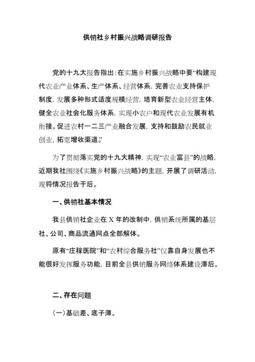 基本供销社维修报告解读：介绍乡村振兴的关键一环