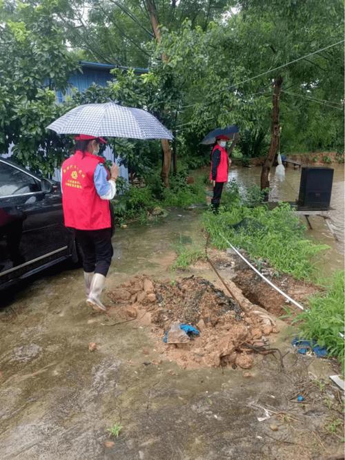 堤防工程维修养护：筑牢安全防线，守护家园安宁