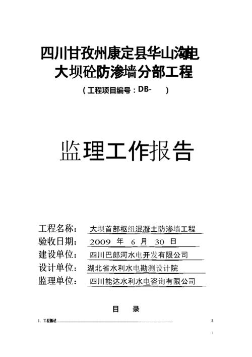 大坝维修工程报告