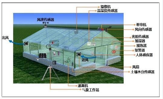 大棚维修情况报告解读:保障农业生产的坚实后盾