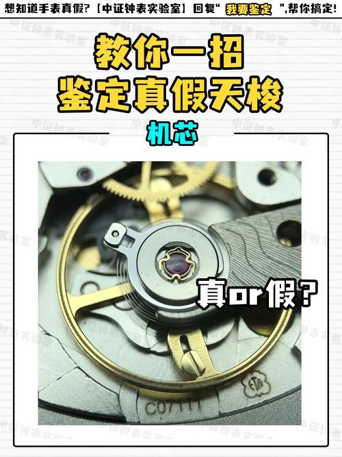天梭机芯维修鉴定报告介绍:传承工艺与品质的守护者
