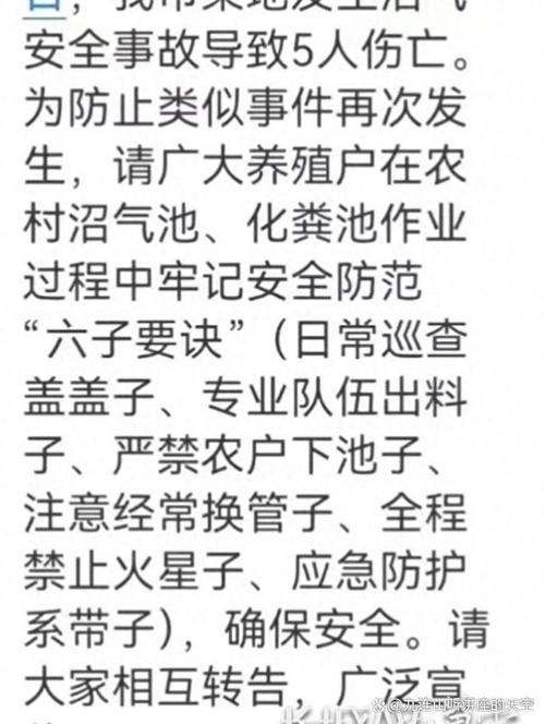 学校化粪池塌陷维修背后的警示与反思