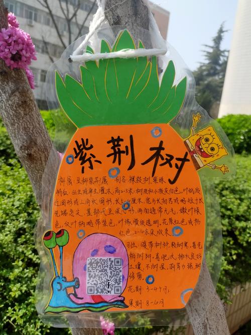学校基建维修述职报告解读:守护校园之美,筑牢教育基石
