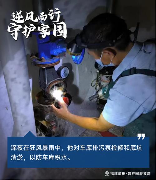 守护家园，共筑安全_小区车库棚顶维修报告解读