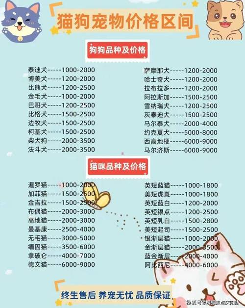 宠物家电的守护者：维修报告介绍