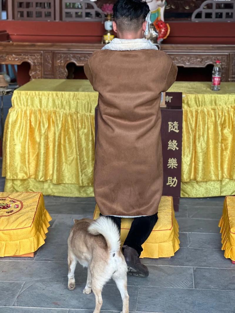寺庙场地维修报告解读:古韵重焕,文化传承的守护