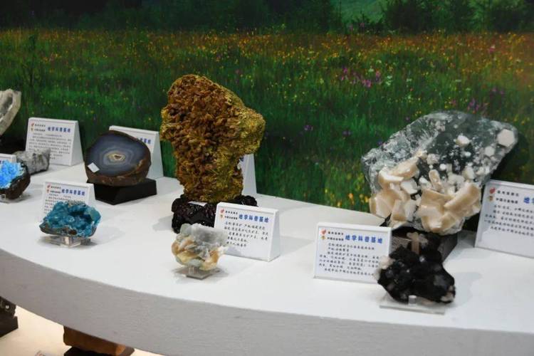 屋脊生辉_记一次门房屋顶漏水维修的圆满重生