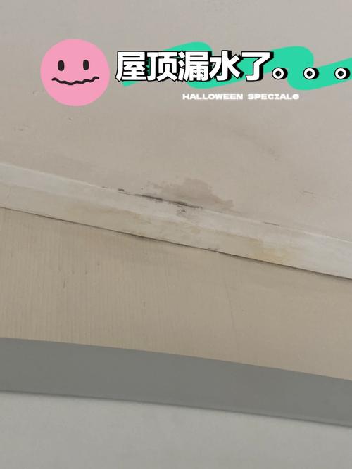 屋顶漏水困扰:申请维修,守护家园安宁