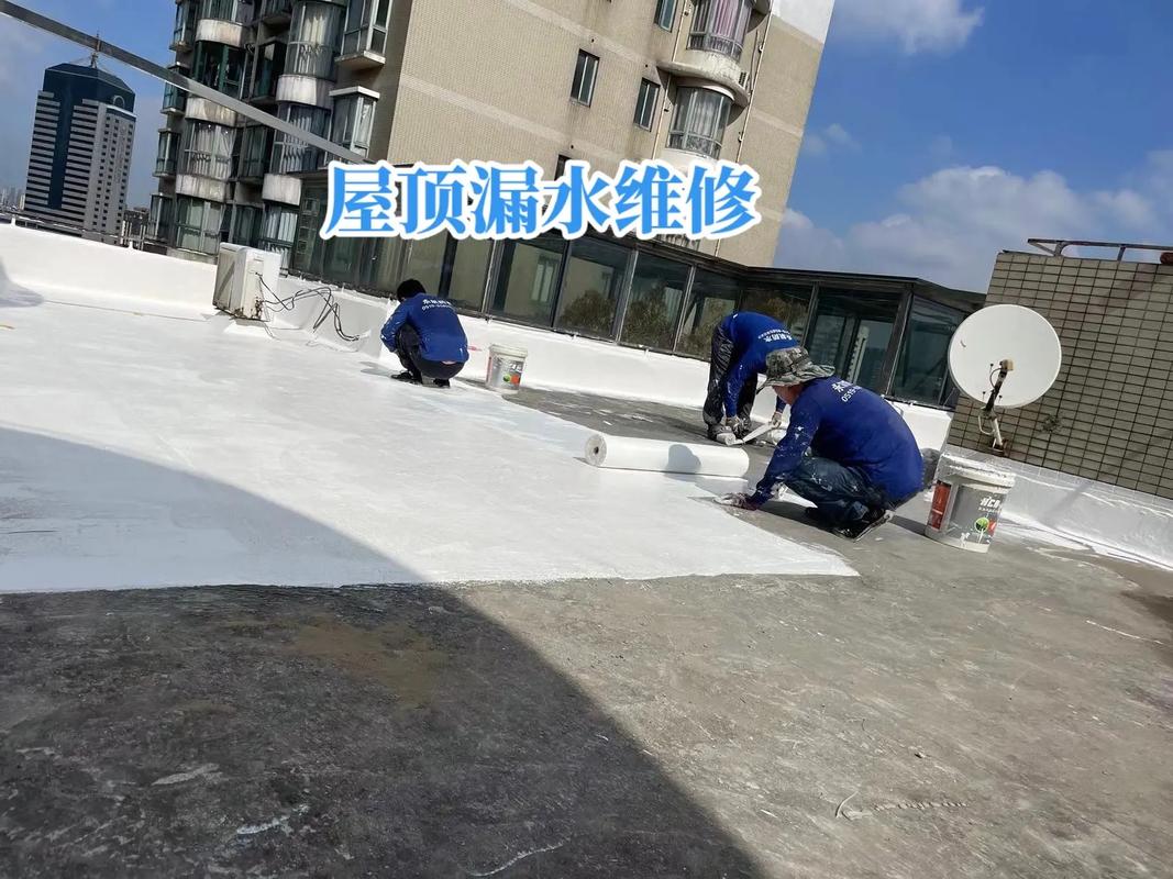 屋顶漏水维修：保障建筑安全与居民生活的关键举措
