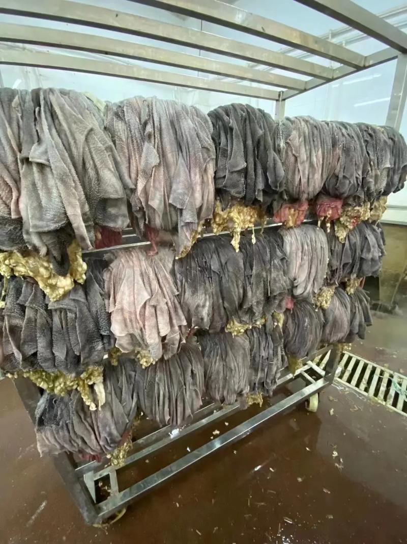 屠场焕新，保障食品安全_屠场维修报告解读