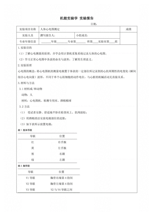 心电图机维修实训报告_理论与方法相结合的医疗设备维护之路
