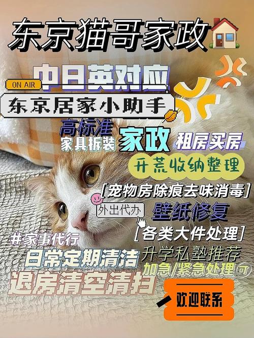 打造洁净空间,守护维修间卫生_地面卫生清理报告详细解读