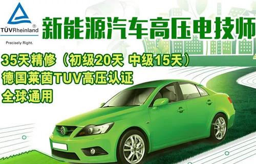 新能源车维修报告：迈向绿色出行新时代
