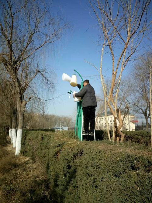 景观设施维修:守护城市绿肺的必要之举