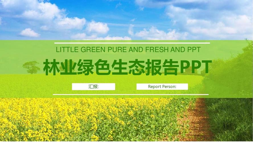 木材检查站维修报告解读:保障生态安全,促进绿色运输