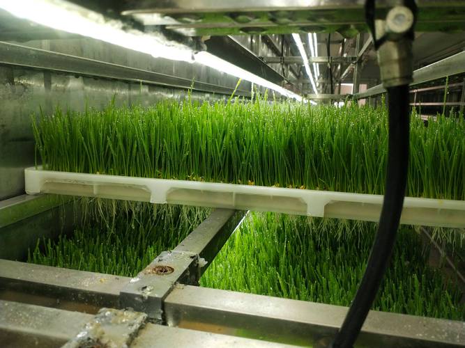 机械维修翻新：技术革新与绿色发展并行之路