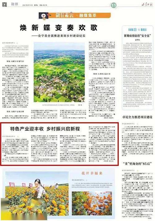 村居维修报告解读:乡村振兴下的民居焕新之路