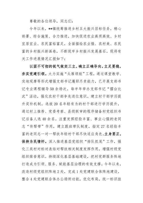 村文化室维修资金报告:夯实乡村文化基石,助力乡村振兴