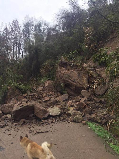村级公路塌方维修报告解读:安全畅通,乡村振兴的基石
