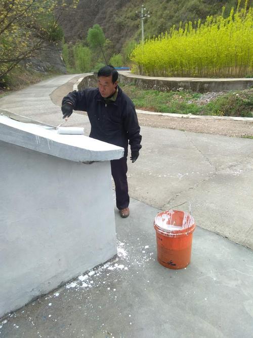 村级垃圾池维修与新建:守护绿水青山,助力乡村振兴
