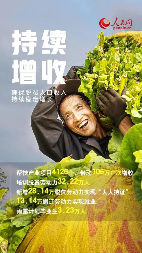 村部维修：乡村振兴之路上的坚实保障