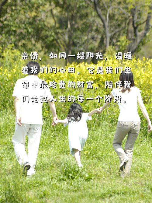 林业站维修报告解读:守护绿色家园的坚实后盾