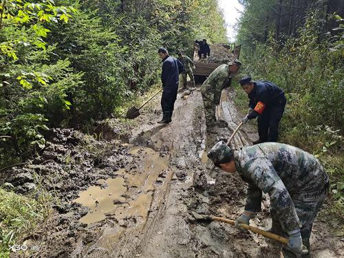 林区管护房屋维修：守护绿水青山的坚实屏障