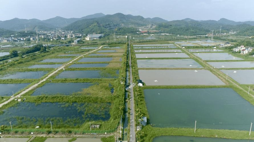 林场管护房维修报告解读:绿色发展之路上的坚实保障