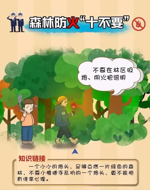 林场防火道路维修：筑牢生态安全屏障，守护绿水青山