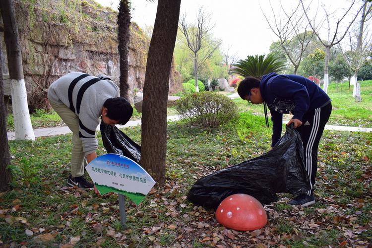 校园彩钢维修:匠心独运,守护绿色校园