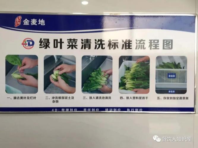 校园洗菜池维修报告解读：守护食品安全，提升校园环境
