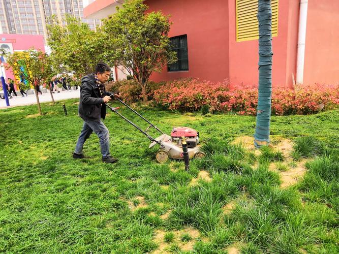 校园花园维修:打造绿色校园,提升育人环境