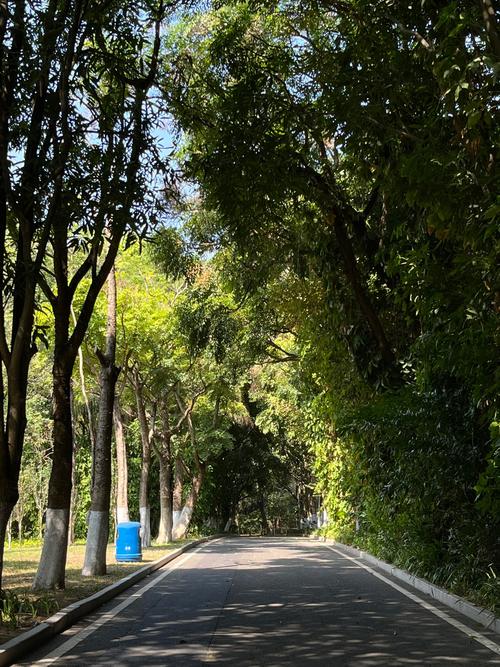 校园草坪,绿色呼吸_我校草坪维修报告解读