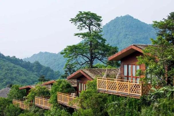 森林人家:一场绿色建筑的完美修复之旅
