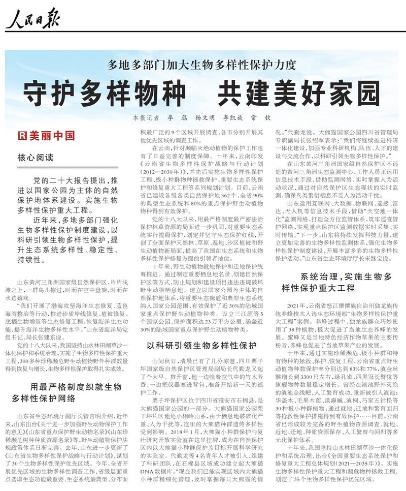 楼房维修报告解读:守护家园,共筑美好未来