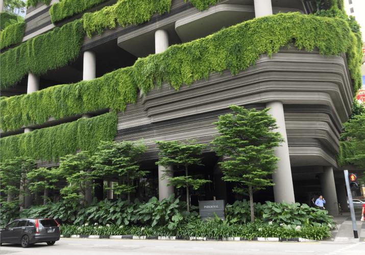 楼顶维修报告解读:守护建筑安全,迈向绿色未来