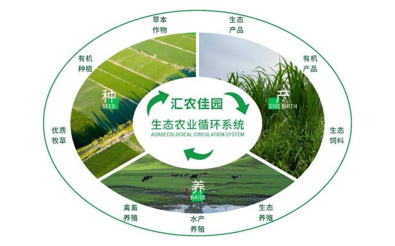 橡胶坝维修报告解读:保障水利安全,助力绿色发展