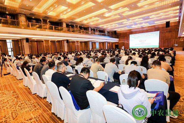 水乐园滑道维修报告解读:安全升级与技术创新